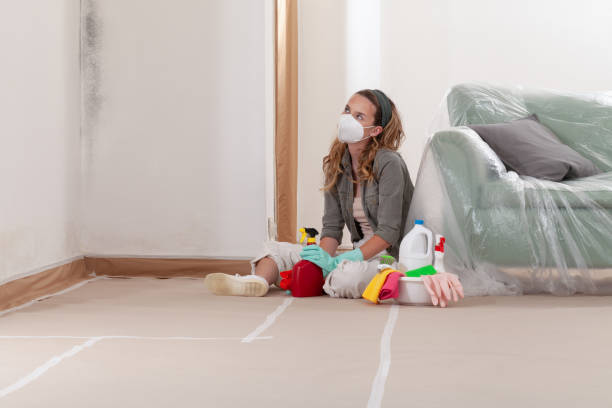 Reliable Mold Remediation contractor in Burke, VA by Cheap Mold Removal